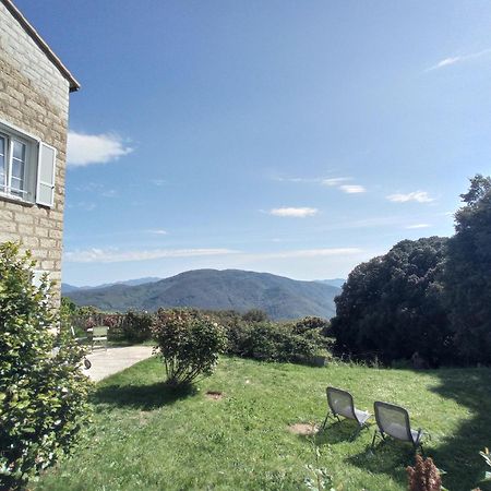 Casa Sarrinca Hotel Serra-di-Scopamene Kültér fotó