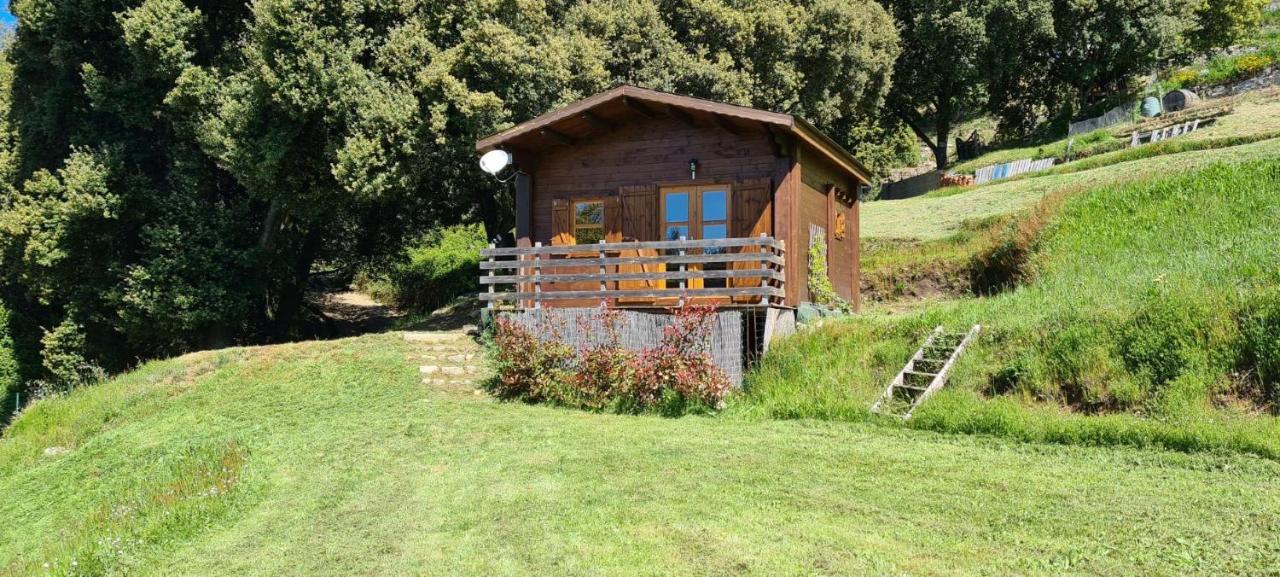 Casa Sarrinca Hotel Serra-di-Scopamene Kültér fotó