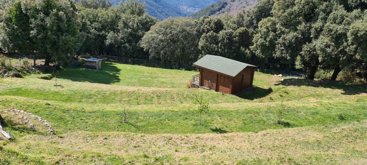 Casa Sarrinca Hotel Serra-di-Scopamene Kültér fotó